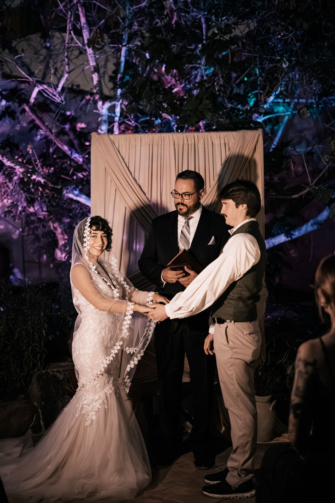 A night ceremony under violet light and the old fig tree